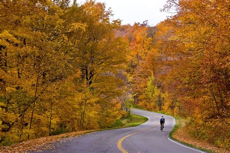 Fall Color Guide to Brevard NC and Pisgah National Forest | Pilot Cove | Pisgah Forest, NC