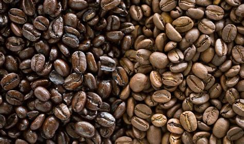 Buying Guide: Tips for Buying the Best Coffee Beans – Best Espresso Machine Hub