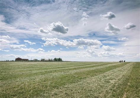 How to Create and Maintain Pasture Land • The Prairie Homestead