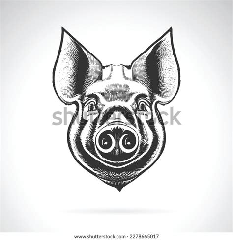 2,871 Pig Face Line Drawing Images, Stock Photos, 3D objects, & Vectors ...