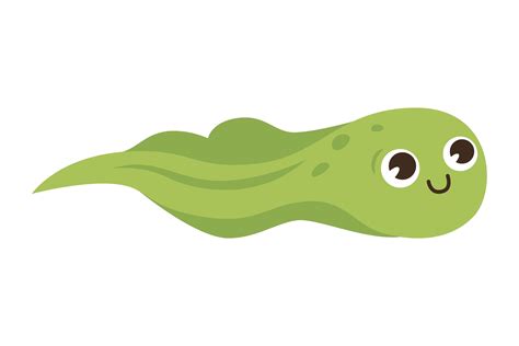 Cute Tadpole Cartoon Character Vector Il Graphic by pch.vector · Creative Fabrica