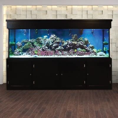 Aquariums For Hotels, Hotel Fish Tanks | Custom Aquariums