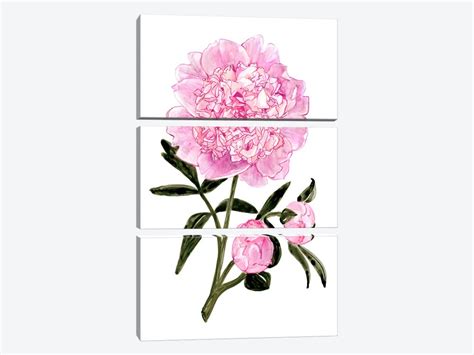 Light Pink Watercolor Peony Canvas Art Print by blursbyai | iCanvas