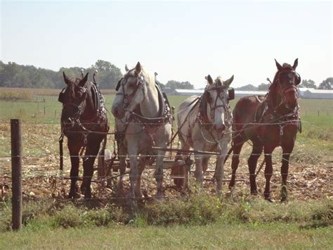 Exploring Indiana Amish Country - Travel Deliciously