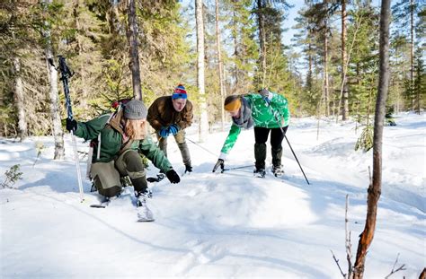 Winter Activities in Finland | The Natural Adventure