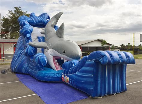 Shark Water Slide Rentals - My Florida Party Rental - Water Slide Rentals