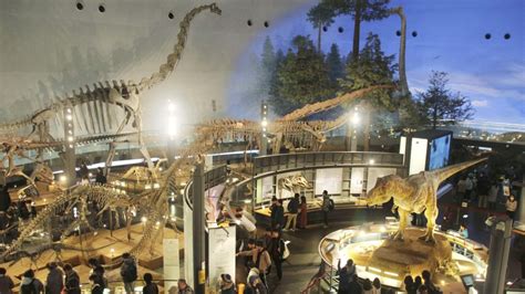 Fukui dinosaur museum renovation to spark roaring trade