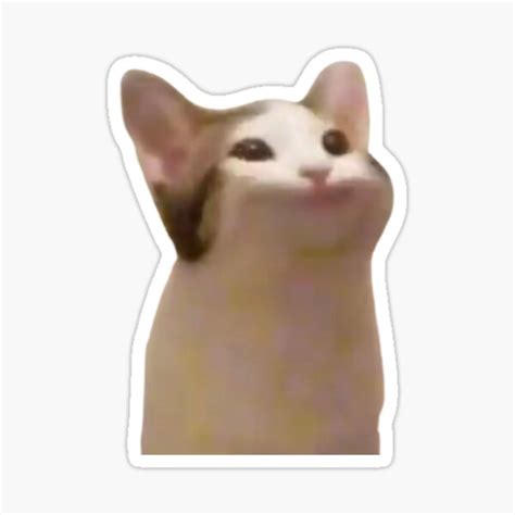 "Pop Cat Meme" Sticker for Sale by masoncarr2244 | Redbubble