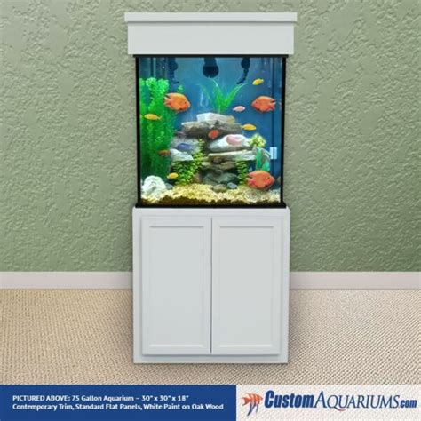 Tall 75 Gallon Aquarium - Tall Glass Fish Tank - Custom Aquariums