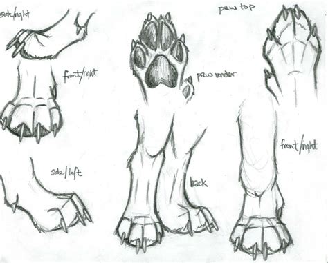 Resultado de imagen para wolf paws drawing Dog Paw Drawing, Wolf ...