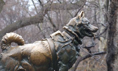 Visit the Balto Statue in New York | See the Sights With Bike Rental Central Park | Book Online