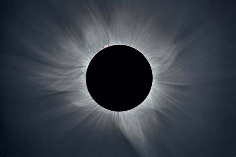 America's total eclipse: The best guides to how to prepare | New Scientist