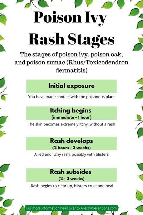 poison-ivy-rash-stages-infographic-4-1 - Allergy Preventions