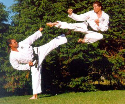 Taekwondo flying kick | Flying kick, Martial arts, Taekwondo