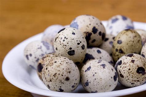 Partridge eggs stock image. Image of diet, gourmet, breakfast - 12078243