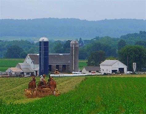 Pennsylvania! | Amish house, Farm buildings, Amish country