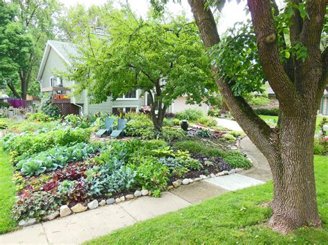 Front Lawn Vegetable Garden Design - Sun Ray Garden - Shawna Coronado