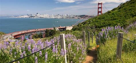 10 Hotels With Views Of The Golden Gate Bridge - Updated 2024 | Trip101