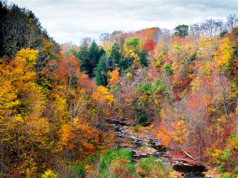 These 15 Rivers In New York State Are Incredible!