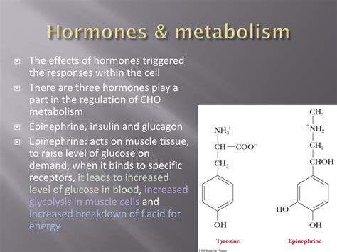 PPT - Metabolic interrelationship PowerPoint Presentation, free ...