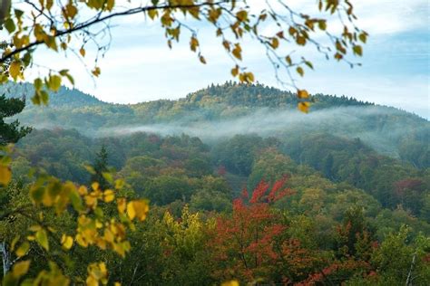 Fall Foliage Season | Western White Mountain Chamber