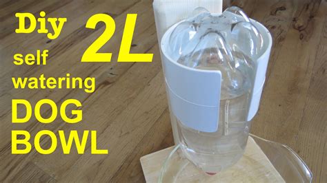 How to make 2L bottle self watering dog bowl | Pet water bowl, Dog water bowls, Water bowl