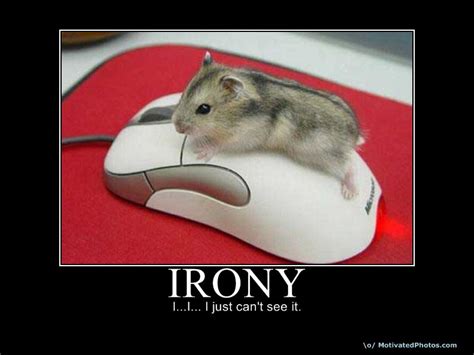 Funny Rat Quotes. QuotesGram