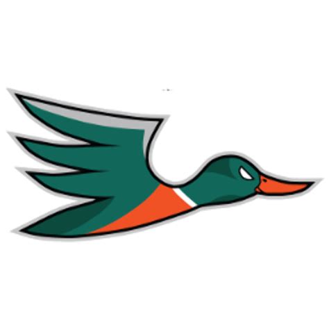 Download High Quality anaheim ducks logo redesigned Transparent PNG ...