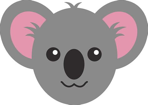 Koala bear face drawing, Baby Koala Cartoon HD wallpaper | Pxfuel