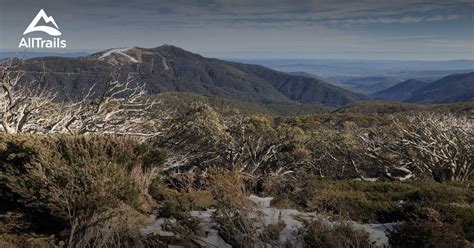 10 Best trails and hikes in Mount Buller | AllTrails