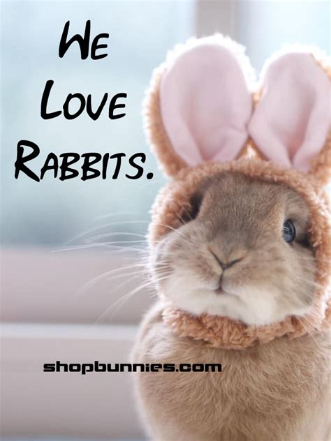 Only the cutest rabbit pictures, advice sayings, quotes, fluffyness. Bunny pics galore! Follow ...