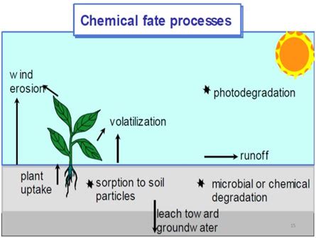 Chemical Pesticides Examples