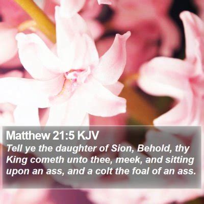 Matthew 21 Scripture Images - Matthew Chapter 21 KJV Bible Verse Pictures