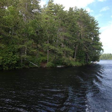 Saranac Lake Islands Adirondack Preserve Camping | The Dyrt