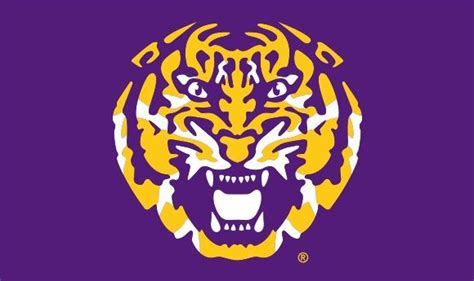 LSU – Tiger Head Nylon – Trinity Flag Shop