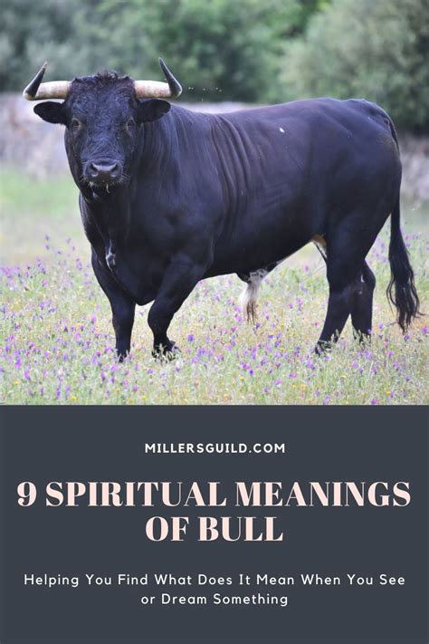 9 Spiritual Meanings of Bull