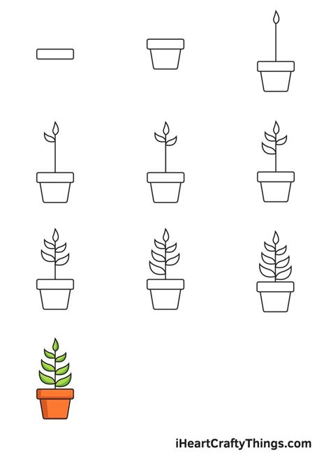 How to Draw a Plant – Step by Step Guide | Plant drawing, Easy flower ...