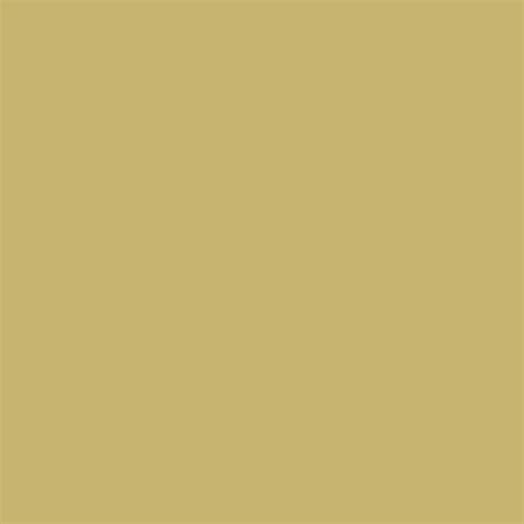 Ochre Paint Color - Paint Color Ideas