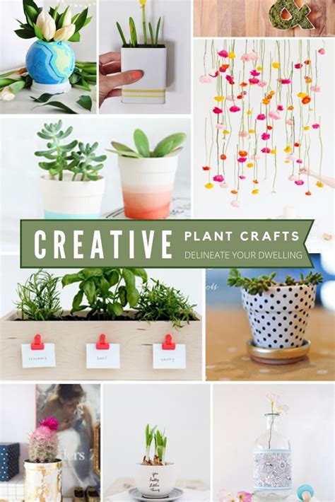 Plant DIYs you won't want to miss! - Delineate Your Dwelling