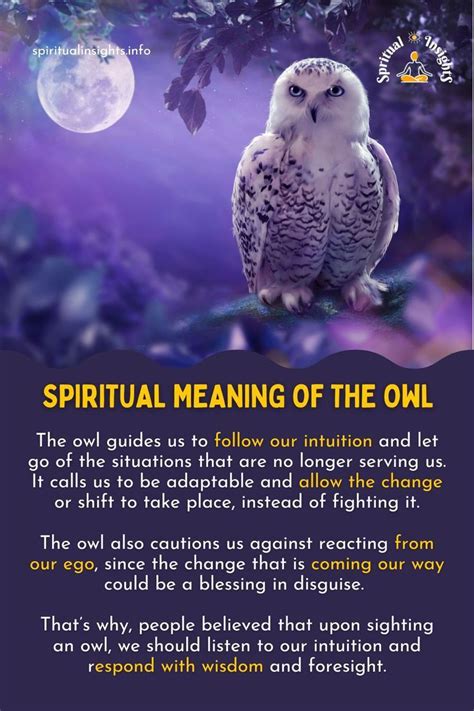 Spiritual Meaning of the Owl | Animal spirit guides, Owl spirit animal, Spirit animal meaning