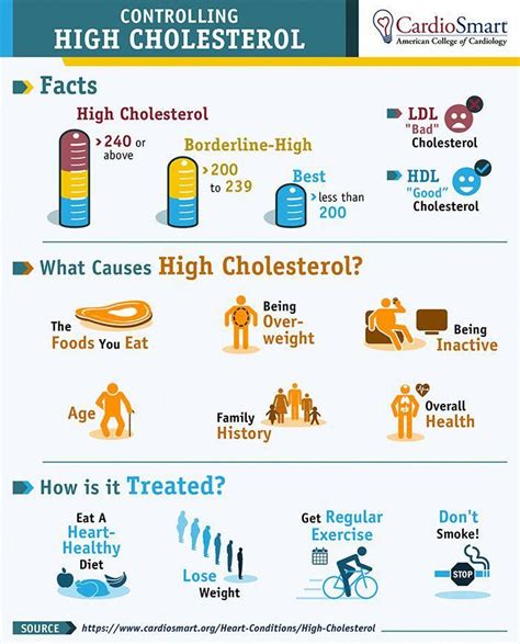 Pin by Optimal Cholesterol on Bad Cholesterol | What causes high cholesterol, Lower cholesterol ...