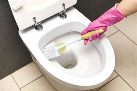 How to Properly Clean a Toilet