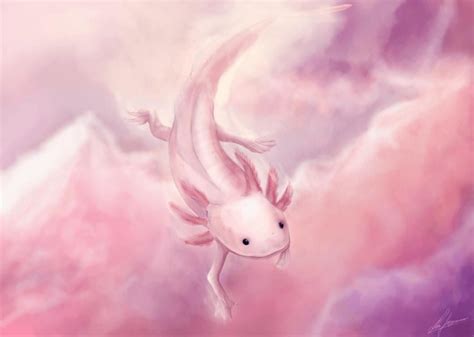 Axolotl Desktop Wallpaper Hd | Cute wallpapers, Painting wallpaper, Axolotl