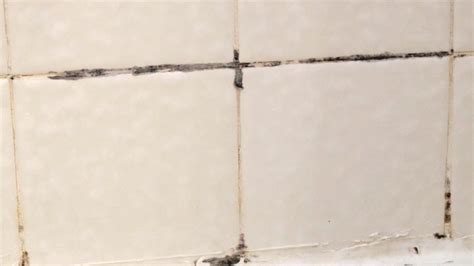 Black Mold In Bathroom Tile Grout – Rispa