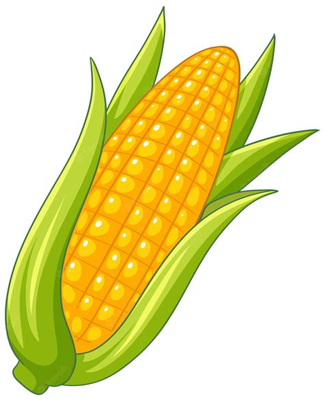 Corn Images