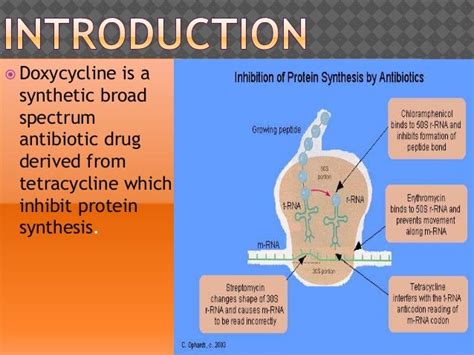 Doxycycline-tetracycline