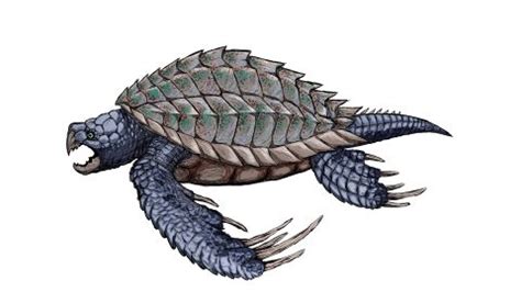 Archelon - Official ARK: Survival Evolved Wiki