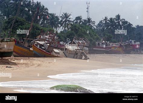 Images from the aftermath of the boxing day tsunami in Sri Lanka on ...