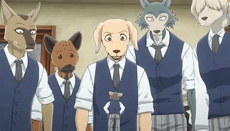 Update more than 73 beastars anime characters latest - in.cdgdbentre