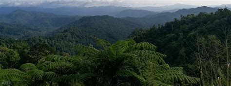 Royal Belum State Park Day Tour, Ipoh, Malaysia